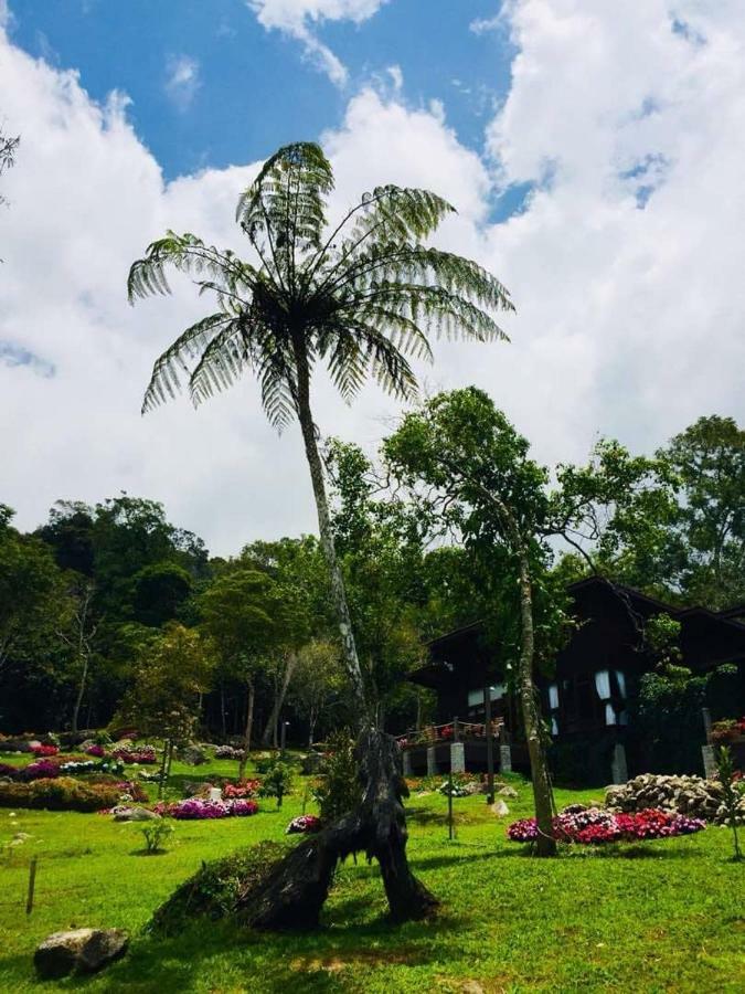 Hotel Spring Garden Kampong Kundassan Esterno foto